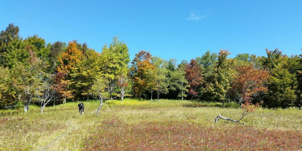 Autumn Hiking: Tips for a Fantastic Fall Hike